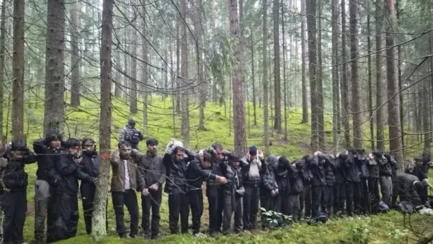 Збройна провокація на кордоні: Латвія зупинила групу мігрантів із Білорусі
